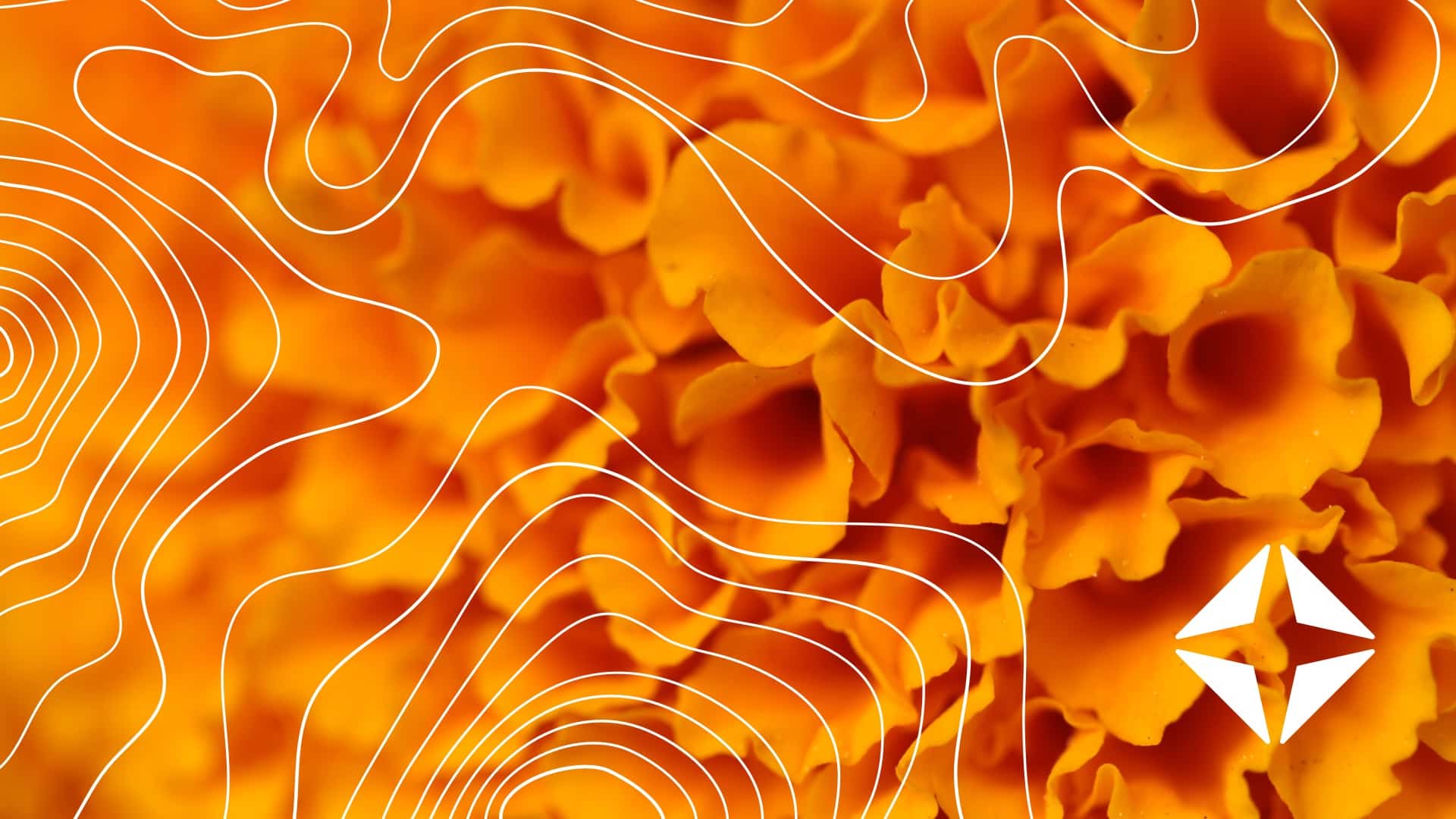 New eClinicalWorks integration: Activate Coverage Detection<br><br>November 11&nbsp; | &nbsp;2 p.m. ET