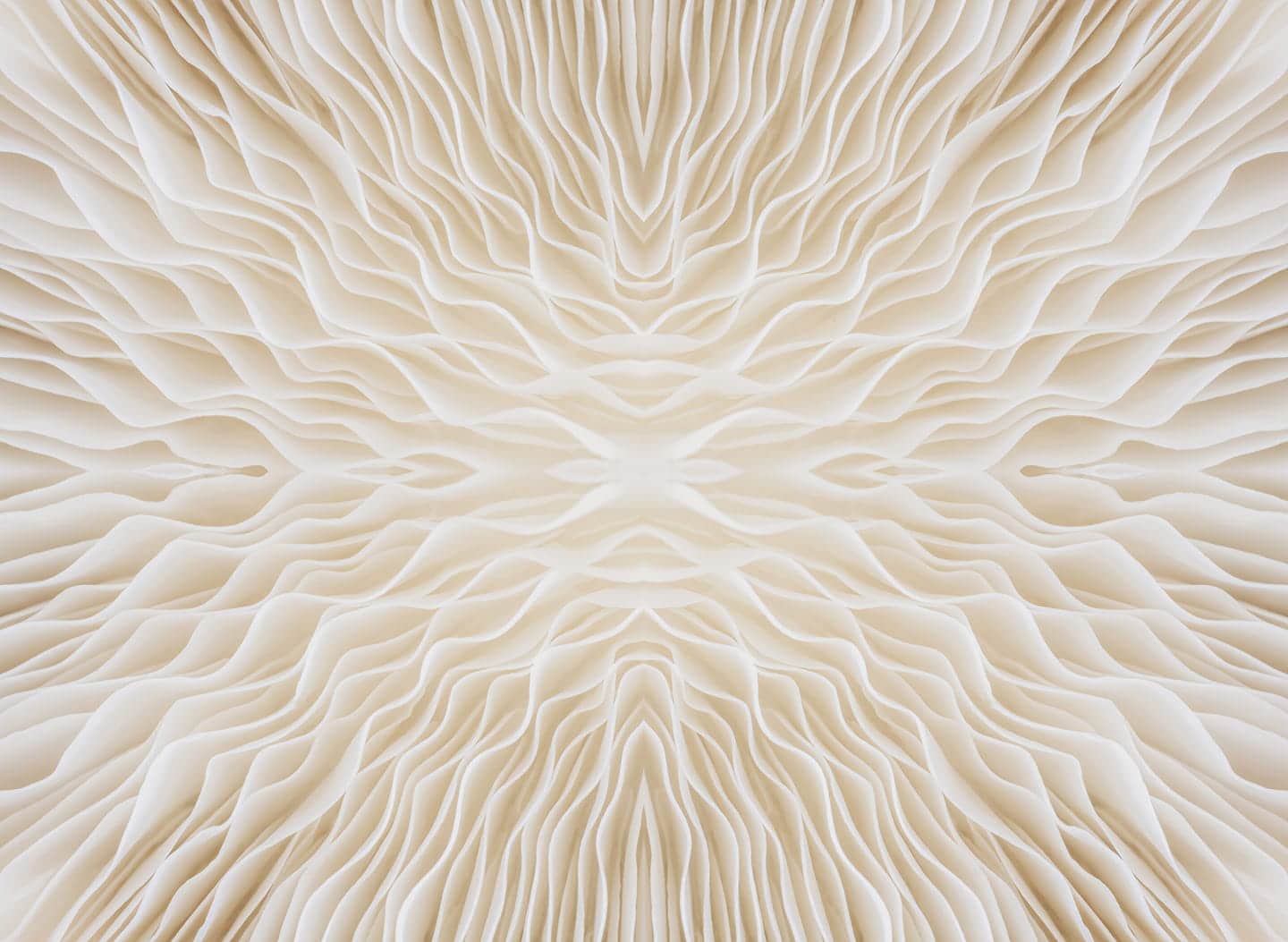 Coverage Detection White Petals