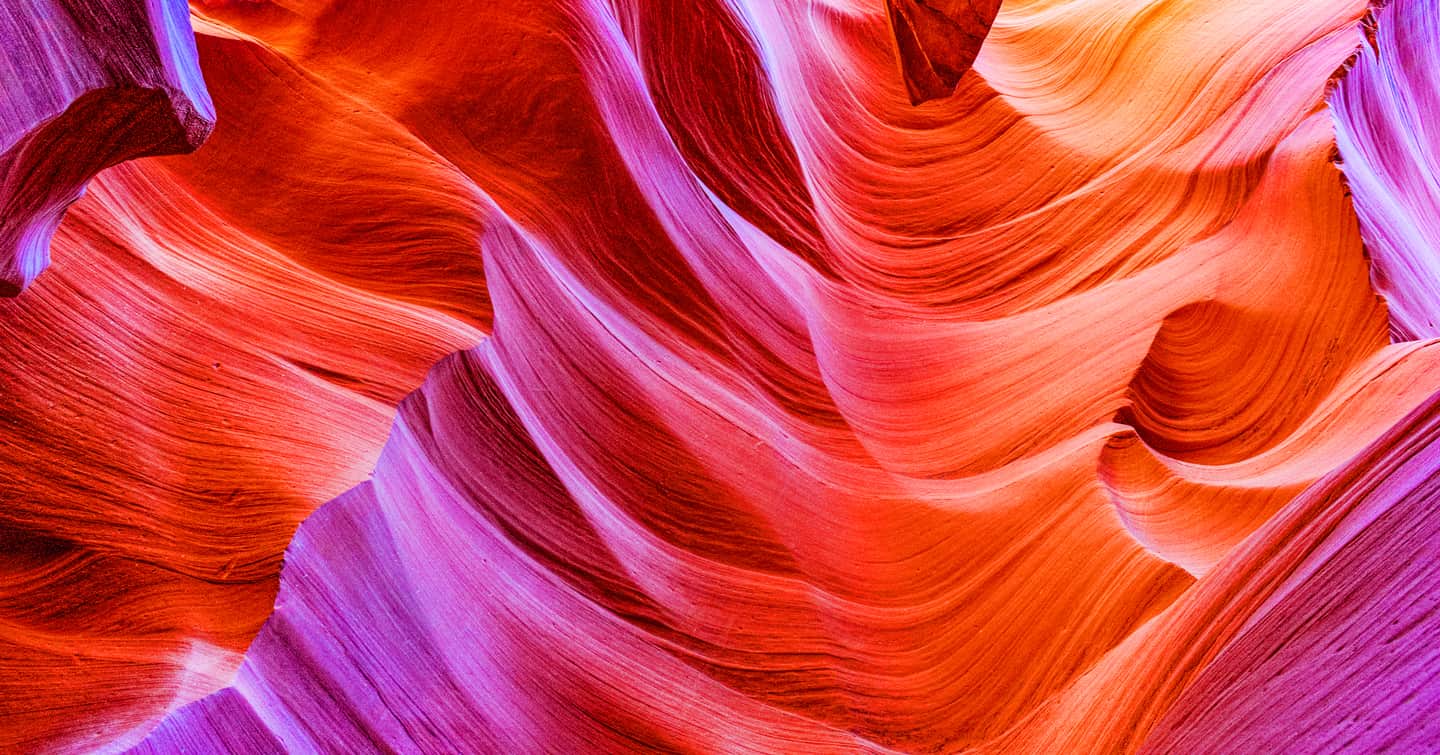 Intern Page Spotlight